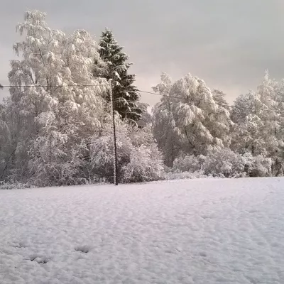 Profile picture for user lapseton81