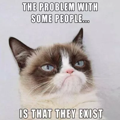 Profile picture for user Linnea P