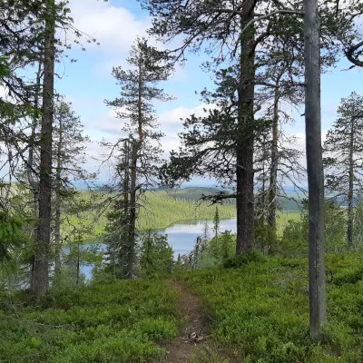 Profile picture for user Kärsivällinen