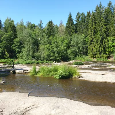 Profile picture for user WiltsuV