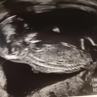 Profile picture for user N + helmibebe ♡