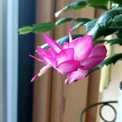 Profile picture for user Soundking