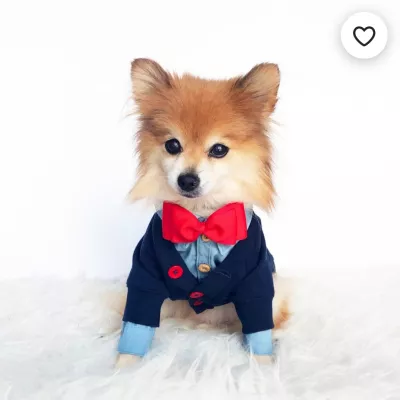 Profile picture for user Kotileikin koira