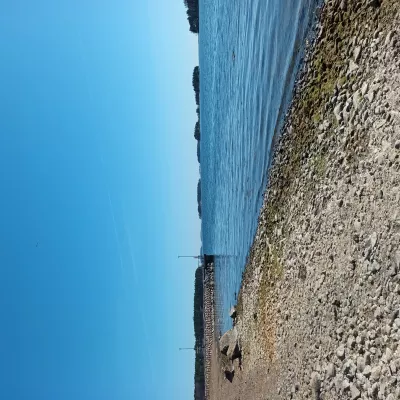 Profile picture for user Merenkävijä