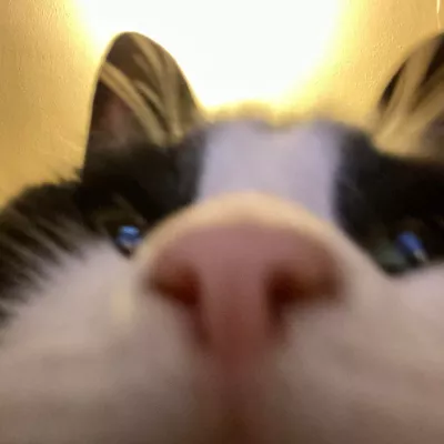 Profile picture for user Timppa vaan