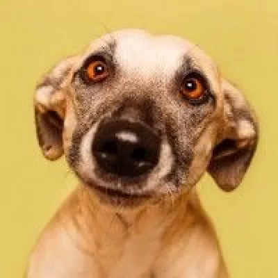 Profile picture for user TarjaHourii2