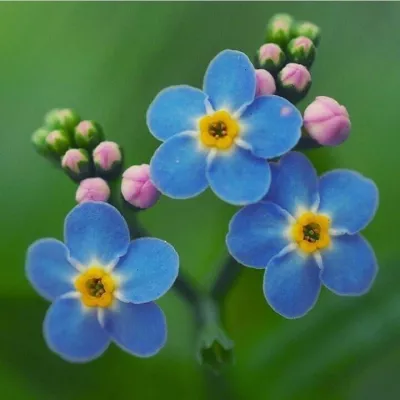 Profile picture for user niiskuneiti