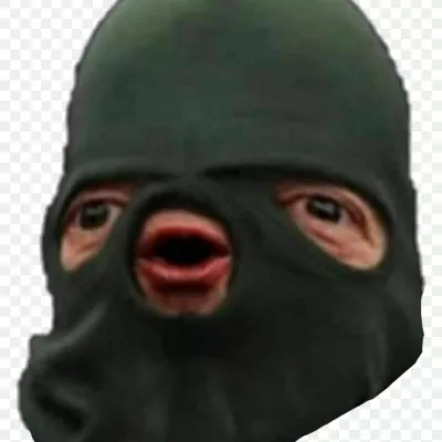 Profile picture for user Minun porkkana on kolmio