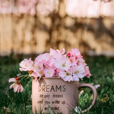 Profile picture for user Jinny