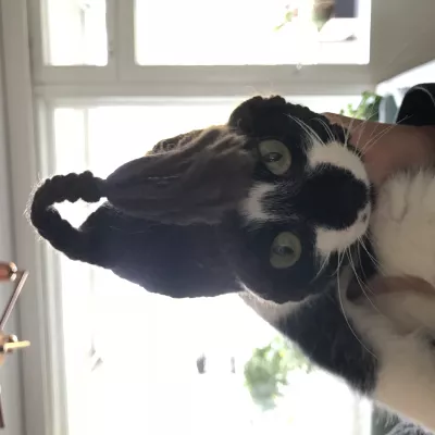 Profile picture for user Keddus