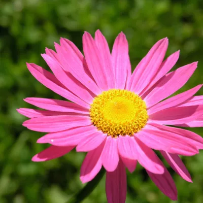 Profile picture for user Oonanen