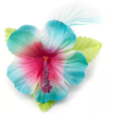 Profile picture for user Akvamariini