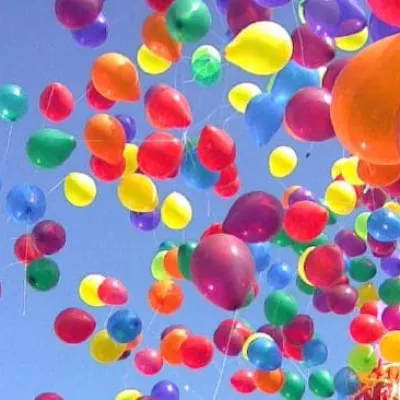 Profile picture for user Bolivar