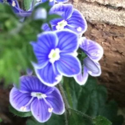 Profile picture for user Wannalyytikko