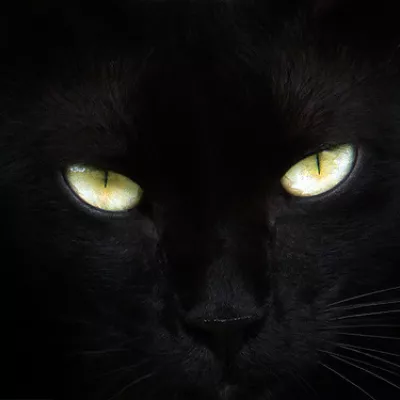 Profile picture for user ämmä