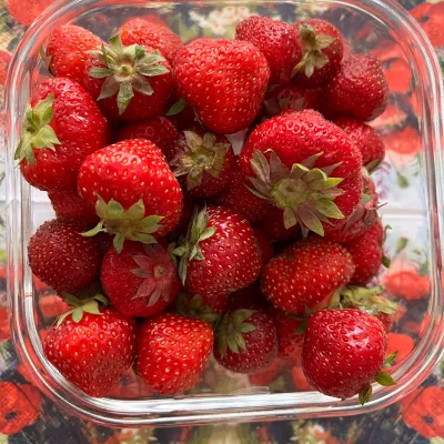 Profile picture for user Käyttäjä40740