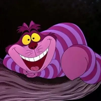 Profile picture for user Papatti