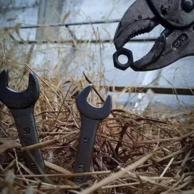 Profile picture for user CelinaRosita