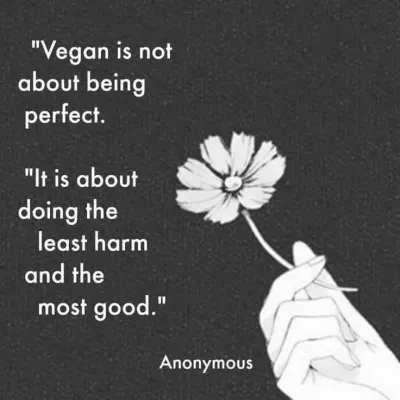 Profile picture for user Puolukan Poimija