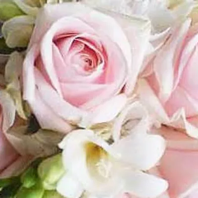 Profile picture for user Legolatar