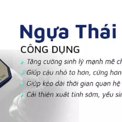 Profile picture for user Ngựa Thái thật giả