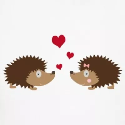 Profile picture for user Enisa82