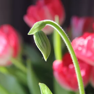 Profile picture for user käyttäjä-11339