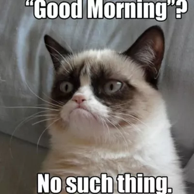 Profile picture for user Kagu