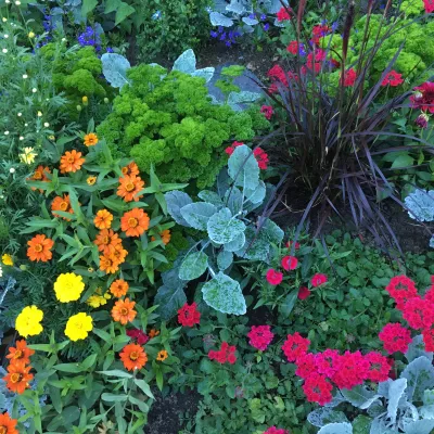 Profile picture for user tyttö17