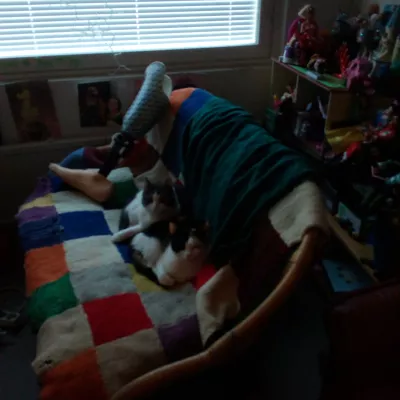 Profile picture for user Hullukissanainen