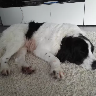 Profile picture for user Elsave