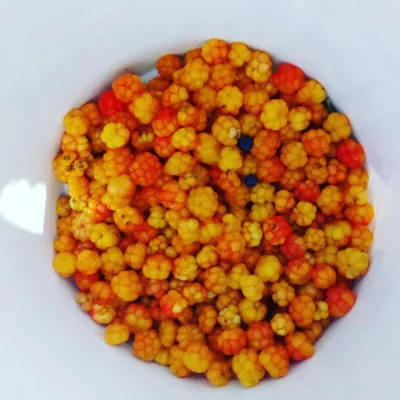 Profile picture for user Ruuki87