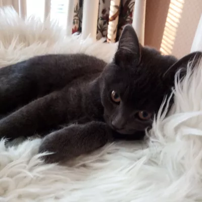 Profile picture for user EM-mii-NA