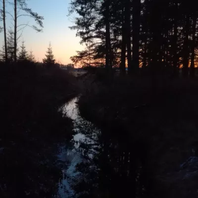 Profile picture for user Hile