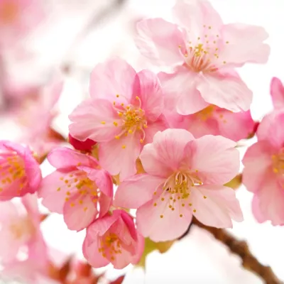 Profile picture for user Katarina1029