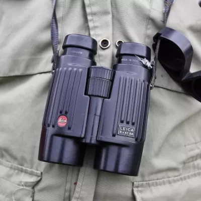 Profile picture for user lintubongaaja