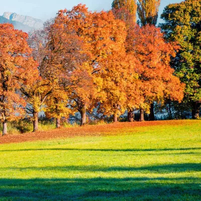 Profile picture for user HeiJohanna