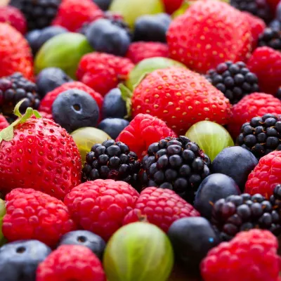 Profile picture for user Mehuakapselissa