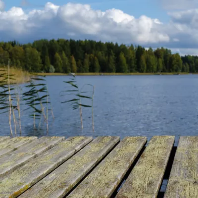 Profile picture for user Faija2017