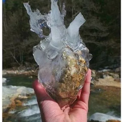 Profile picture for user Nötkötti