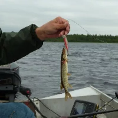 Profile picture for user Käyttäjä42959