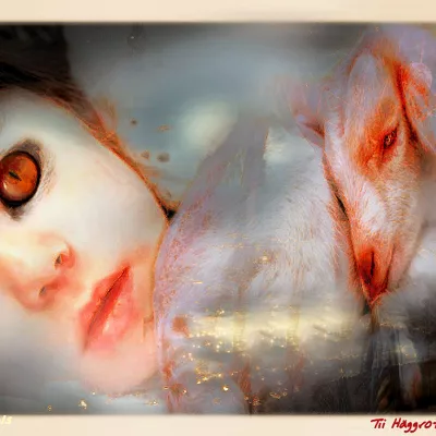 Profile picture for user Sundew