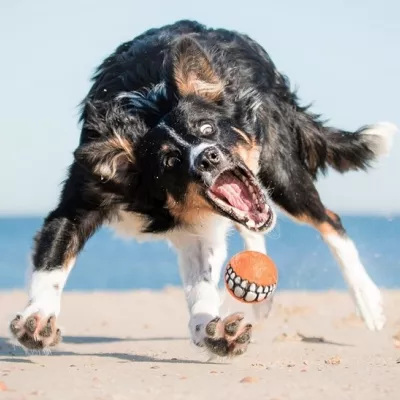 Profile picture for user 1 rarehanu