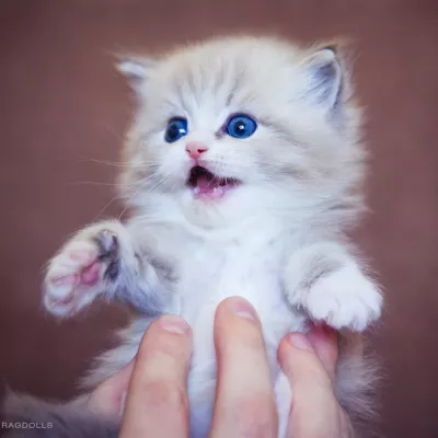 Profile picture for user Lumppu