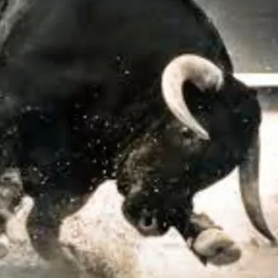 Profile picture for user IISAKSONNI