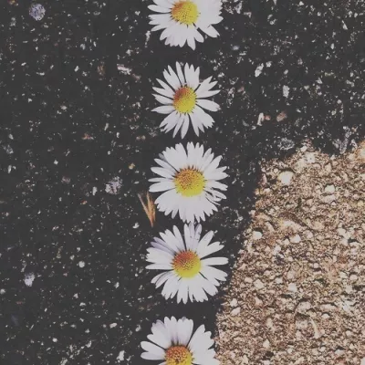 Profile picture for user salmiakkituutti