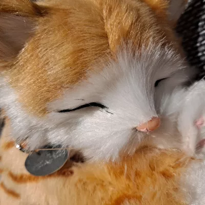 Profile picture for user Kannutäti