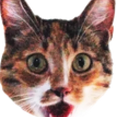 Profile picture for user Tapatyötön