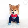 Profile picture for user Kotileikin koira