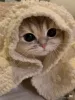 Profile picture for user Janipetteri